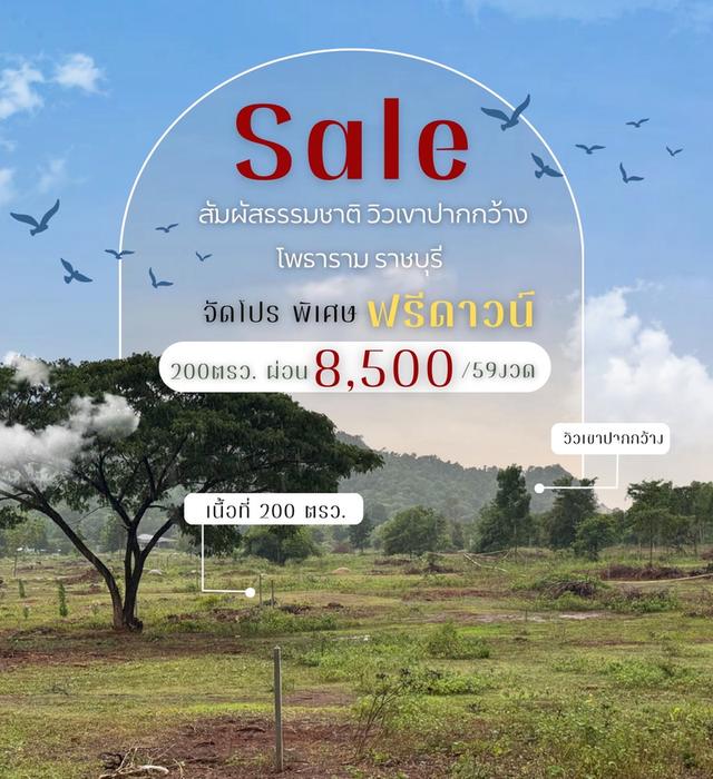 ที่ดิน เขาปากกว้าง โพธาราม ราชบุรี ขนาด 100 ตร.วา - 1 ไร่  2