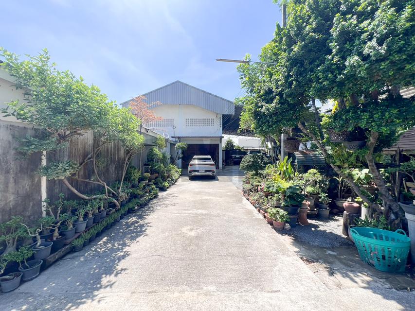 โกดังสินค้า โรงงานแปรรูปไม้ ซอยลำโพ 49 บางบัวทอง นนทบุรี รูปที่ 7