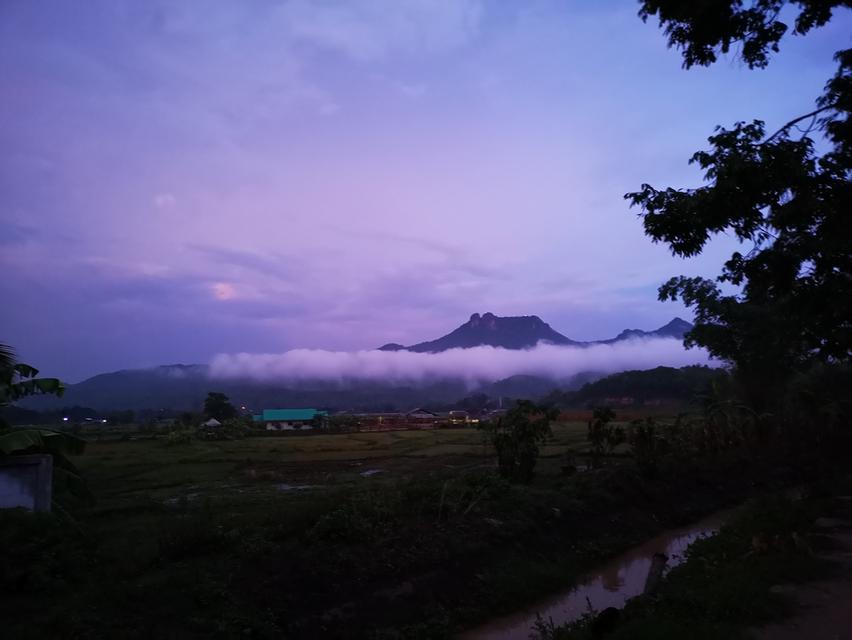 ที่ดิน จ.ลำปาง ที่นา วิวสวยบรรยากาศดี 5