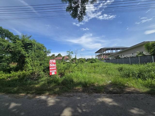 ขายที่ดินถมแล้ว 208.4 ตร.ว คลองสาม (ใกล้วัดธรรมกาย) กว้าง 26 ม. ลึก 30 ม. เหมาะสร้างบ้าน