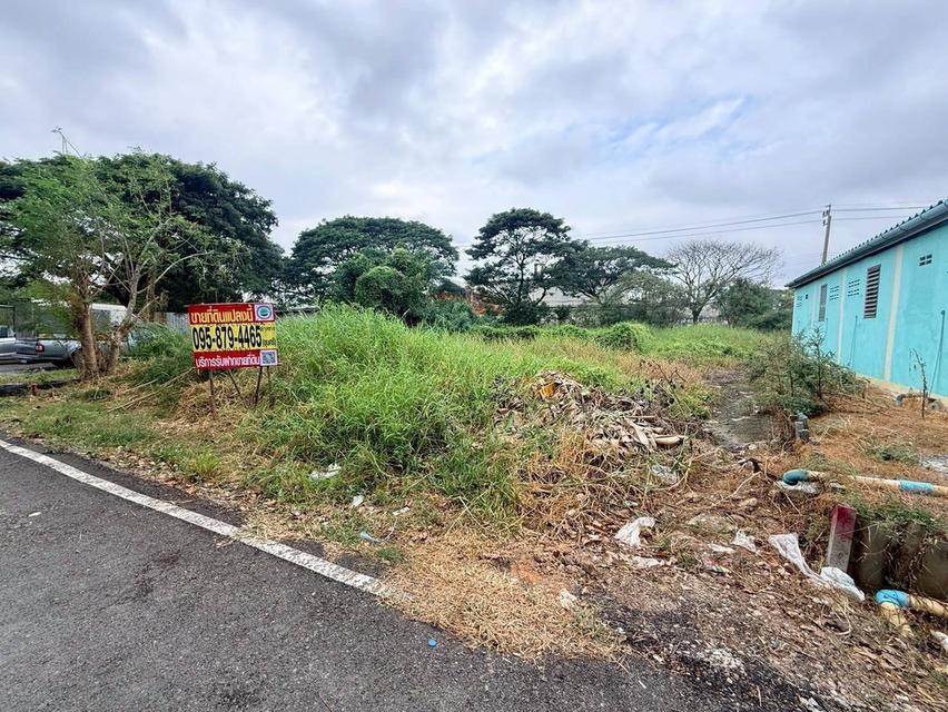 Vายถูกที่ดิน 50 ตารางวา ติดถนนลาดยางสาธารณะ ซอยสกุลช่าง บางบัวทอง นนทบุรี 5
