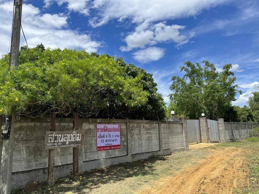 ที่ดินลำพูน ถ่มล้อมรั้ว น้ำ ไฟฟ้า มีครบทุกอย่าง 1