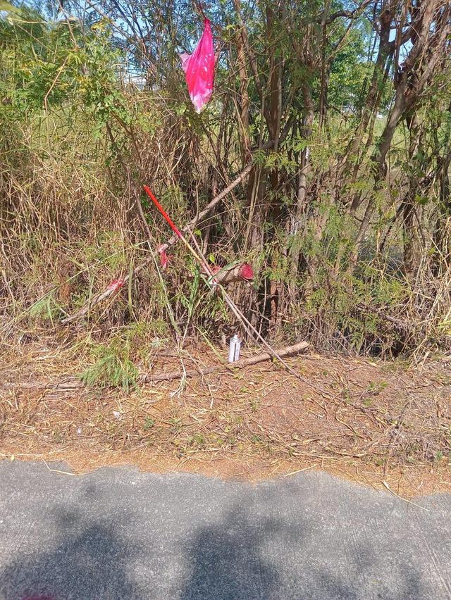 ขายถูกที่สุดที่ดินคลองสาม 1 ไร่ ติดถนนคอนกรีตสาธารณะ หน้ากว้างมาก ซ.12/9 อ.คลองหลวง จ.ปทุมธานี 5