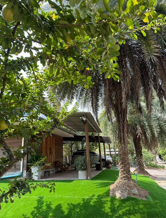 ที่ดินพร้อมบ้านสวนผลไม้