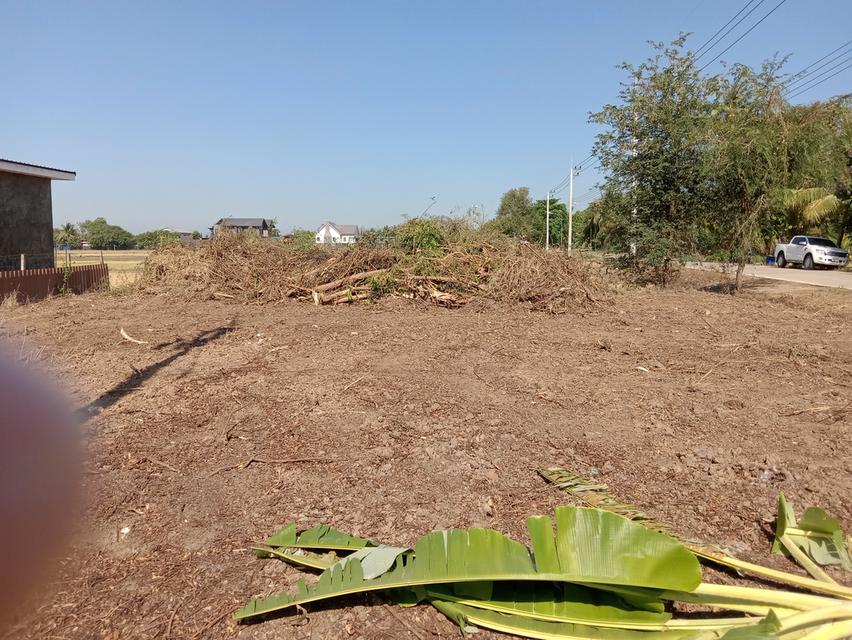 ที่ดิน 100 ตรว. บ่อเงินซอย 8 ต.บ่อเงิน อ.ลาดหลุมแก้ว จ.ปทุมธานี 6