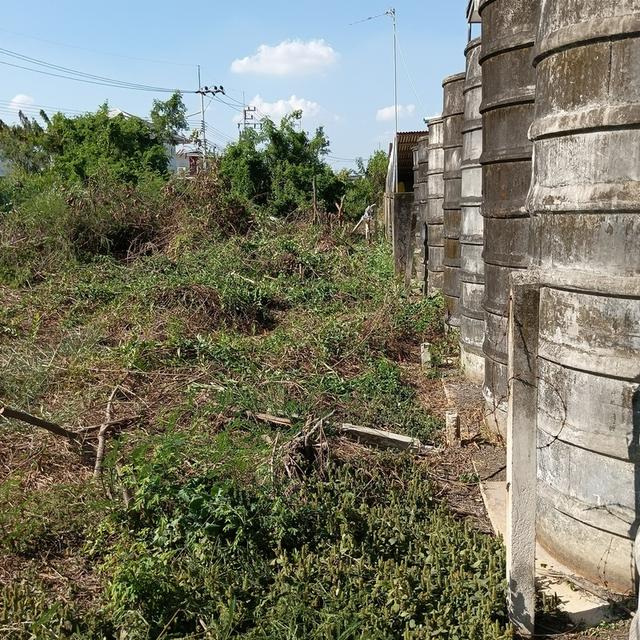 ที่ดินท่าไข่ฉะเชิงเทรา 14