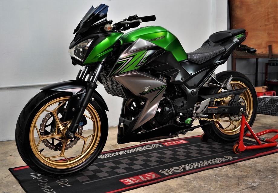 Z300 6