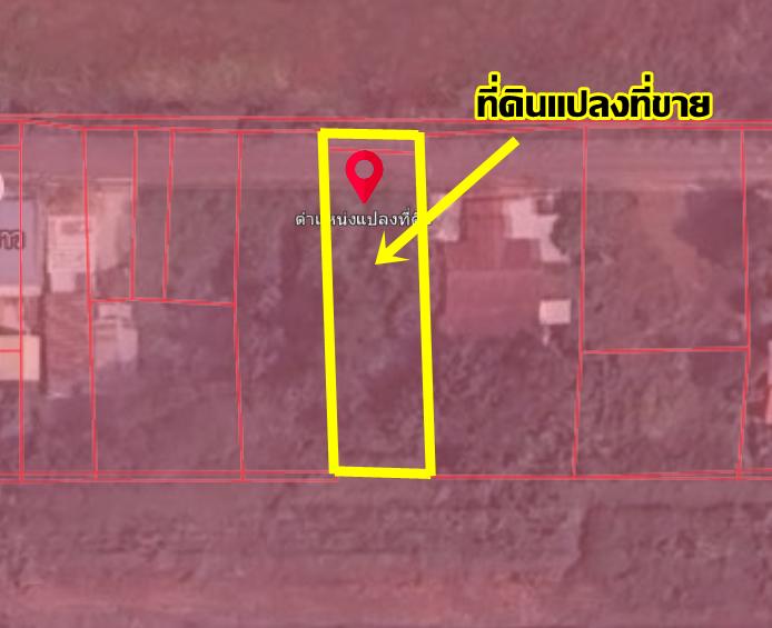 ขายที่ดินคลอง 5 ตะวันออก 7 ถนนเลียบคลอง 5 คลองหลวง ปทุมธานี 6