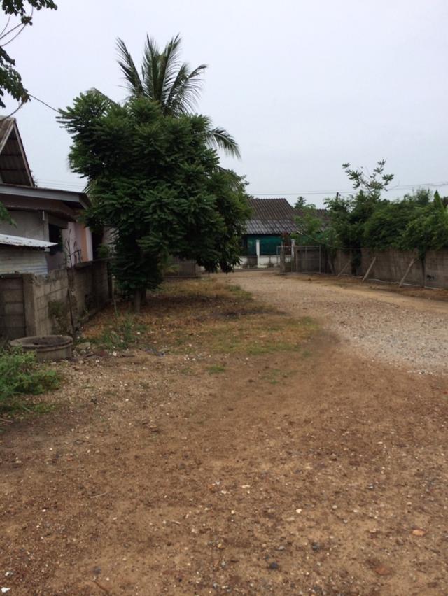 ขายที่ดินพร้อมสิ่งปลูกสร้าง 231 ตารางวา สันป่าตอง เชียงใหม่ 098 7755 808 1
