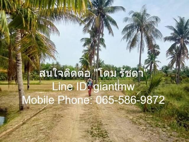 ที่ดิน ที่ดิน ต.สามกระทาย อ.กุยบุรี จ.ประจวบคีรีขันธ์ 20 ตาราง-วา 2 Ngan 5 Rai 2100000 BAHT. ไม่ไกลจาก อยู่ห่างองค์การบร 3