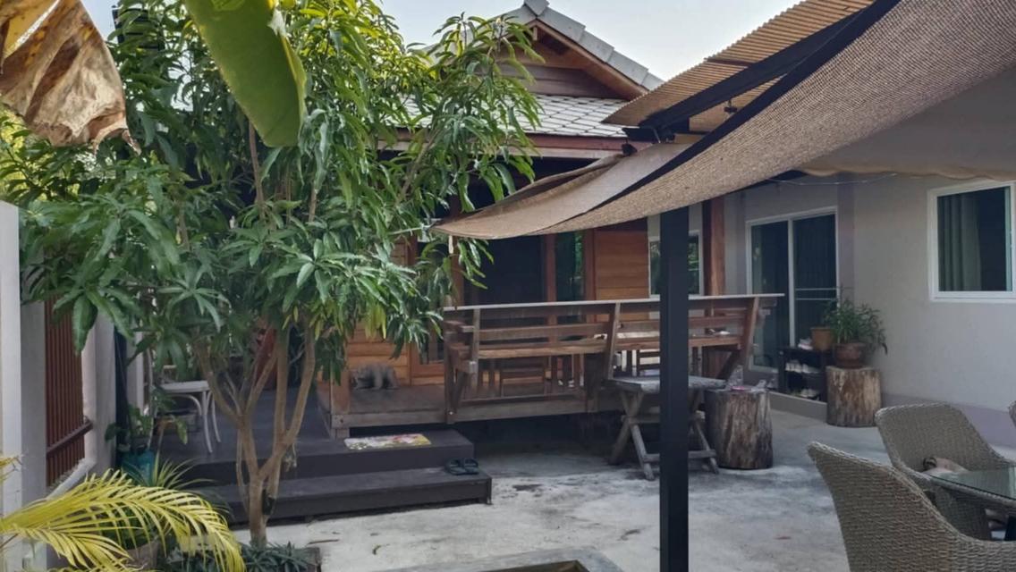 ให้เช่าบ้านนอกโครงการ สันผักหวาน เชียงใหม่ 3