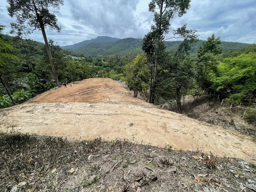 ขายที่ดินสายแม่ริม-ม่อนแจ่ม เชียงใหม่ 1
