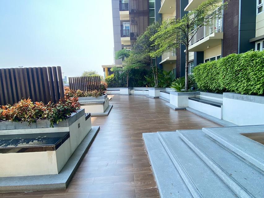 Condominiums ivy pinklao 3