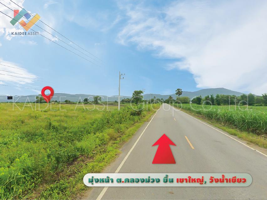 ที่ดิน วังไทร ปากช่อง ใกล้ เขาใหญ่ วังน้ำเขียว ราคาถูก 5