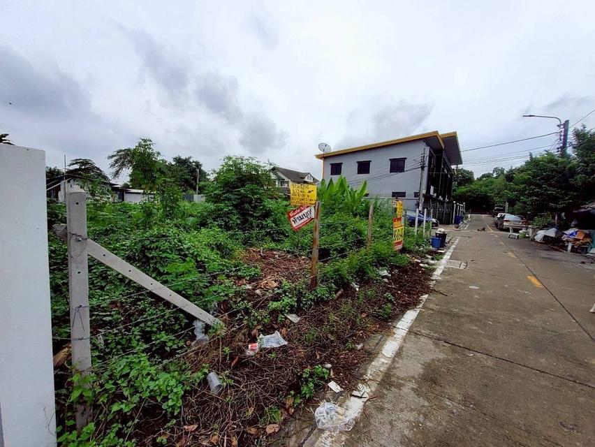 ขายถูก ที่ดินใกล้รถไฟฟ้าสายสีม่วง 103 ตารางวา แปลงมุม ติดถนนคอนกรีตสาธารณะ ซอยวัดไผ่เหลือง อ.บางบัวทอง จ.นนทบุรี 9