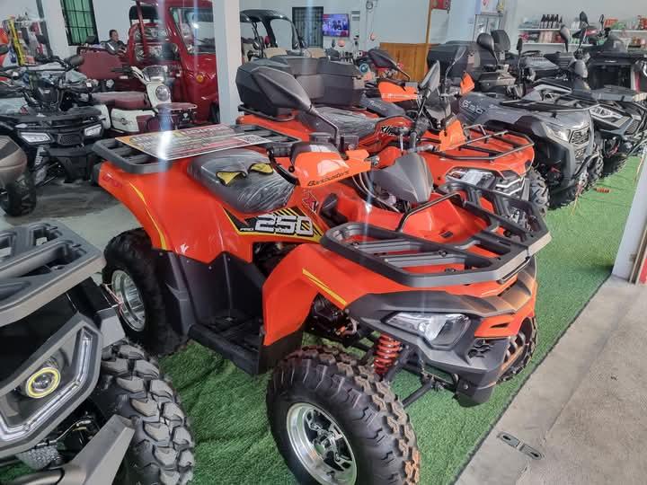 ATV X-WOLF 250 PRO  4