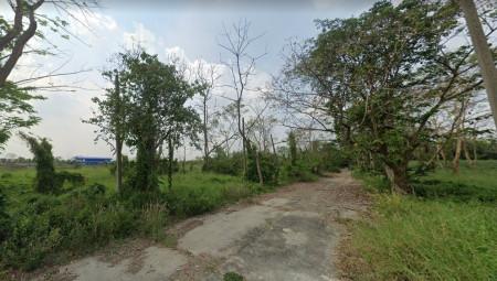 ขาย ที่ดิน 66 ตร.วา คลอง 8 อ.ธัญบุรี ปทุมธานี แปลงจัดสรร (รังสิตการ์เด้น) ห่างจาก ถ. รังสิต-นครนายก เพียง 750 ม. 1