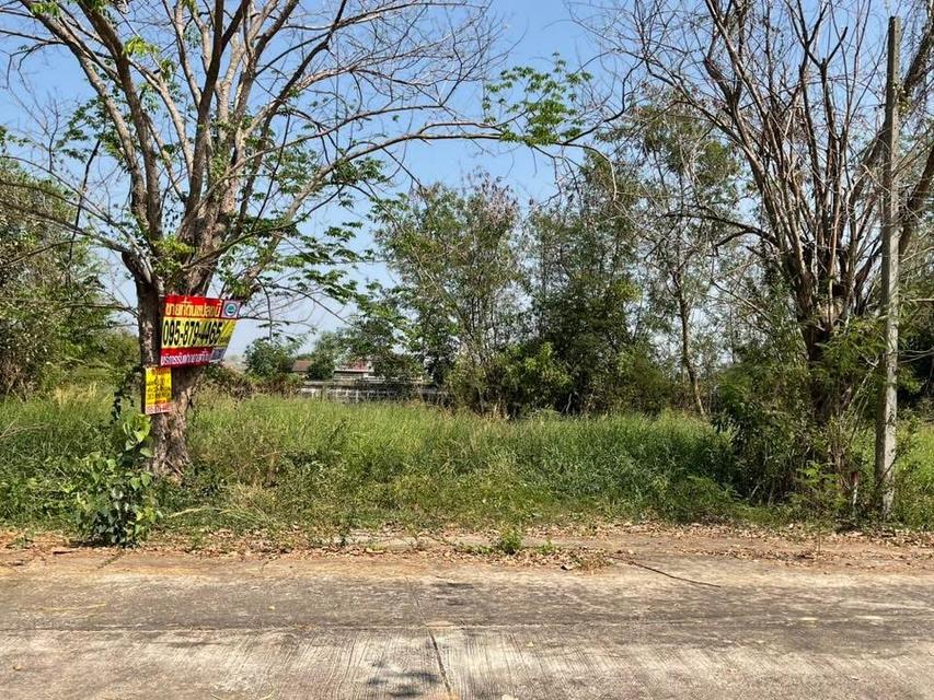ขายราคาประเมินทีดิน 100 ตารางวา ติดถนนคอนกรีต รังสิต-นครนายก อ.ธัญบุรี จ.ปทุมธานี 3