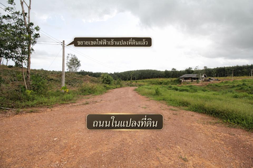 ขายที่ดิน 121 ไร่ ใกล้แยกนายายอาม จันทบุรีง ติดถนนลาดยาง 2 ด้าน ไฟฟ้าพร้อม มีสระน้ำ บ่อบาดาล และติดคลองสาธารณะ 14