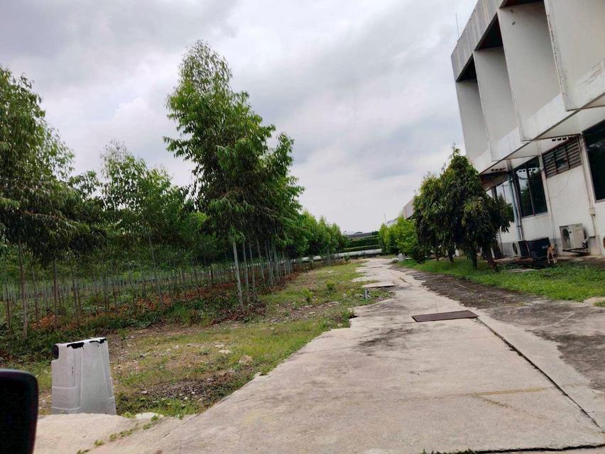 ขายที่ดินผังสีม่วง ติดถนนพหลโยธิน นวนคร พื้นที่ 110-3-35 ไร่ ต.คลองหนึ่ง อ.คลองหลวง จ.ปทุมธานี 20