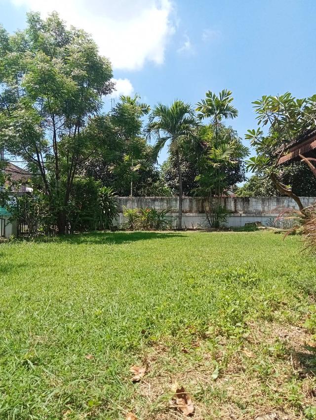 ขายบ้านชั่นครึ่ง ในโครงการกาดฝรั่ง 3