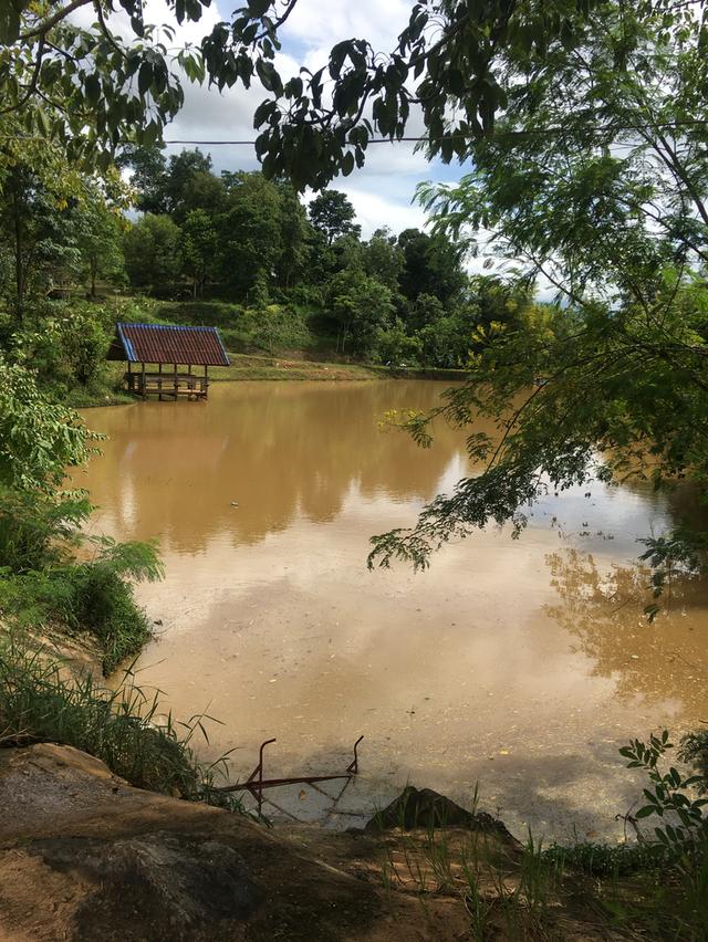 ขายที่ดินโฉนดเขาใหญ่ 10 ไร่ 49 ตร.ว. ติดแม่น้ำ ติดถนนลาดยางยาว 128 เมตร ใกล้ตลาดน้ำเขาใหญ่ ต.วังกะทะ อ.ปากช่อง จ.นครราชสีมา 4