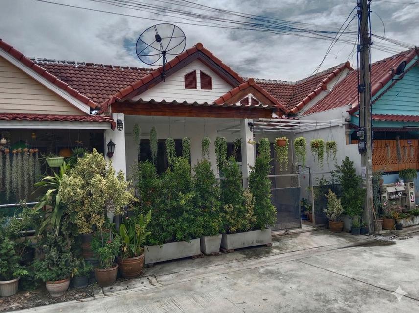 ขายบ้านทาวน์เฮาส์ 1ชั้น 1
