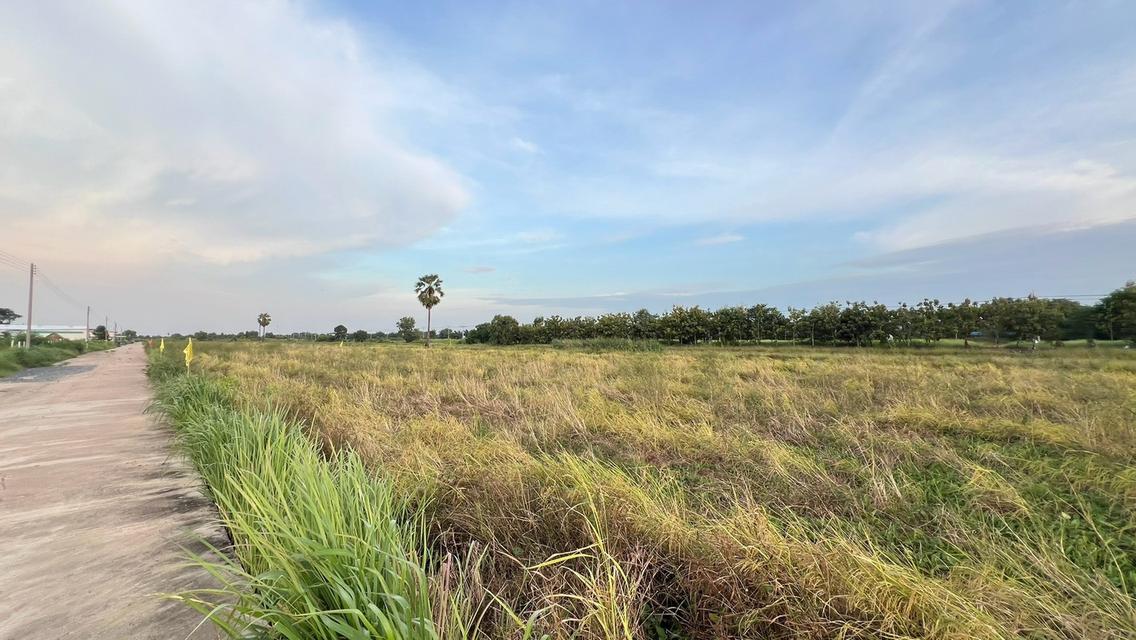 ขายที่ดินเงินผ่อน 2 ปี ไม่มีดอกเบี้ยตำบล หนองสามวัง อำเภอ หนองเสือ ปทุมธานี 19