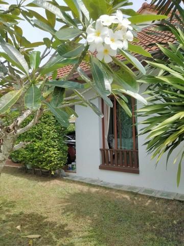 For Sales : Thalang, Single-story detached house, 3 bedrooms 2 bathrooms 3