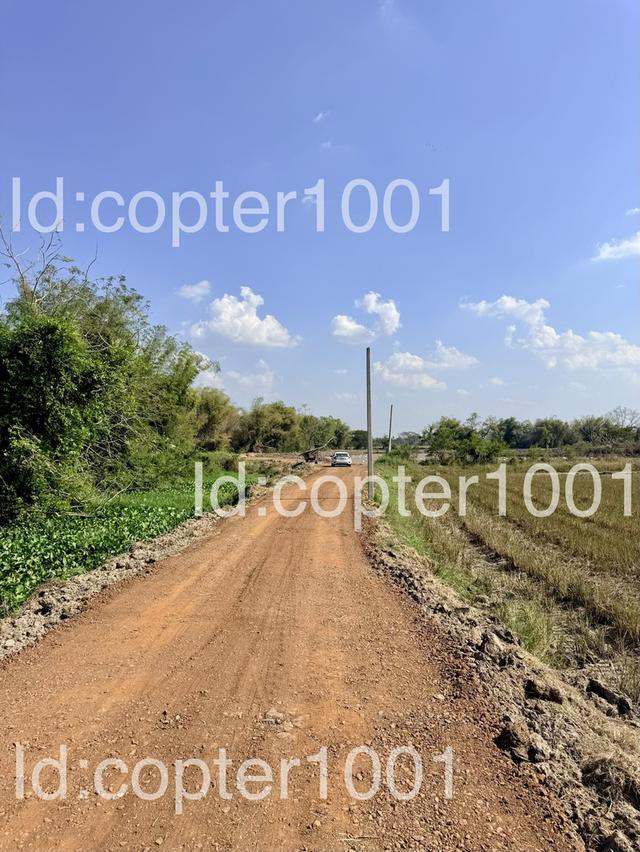 ขายที่ดินแบ่งล็อค โคราช 5