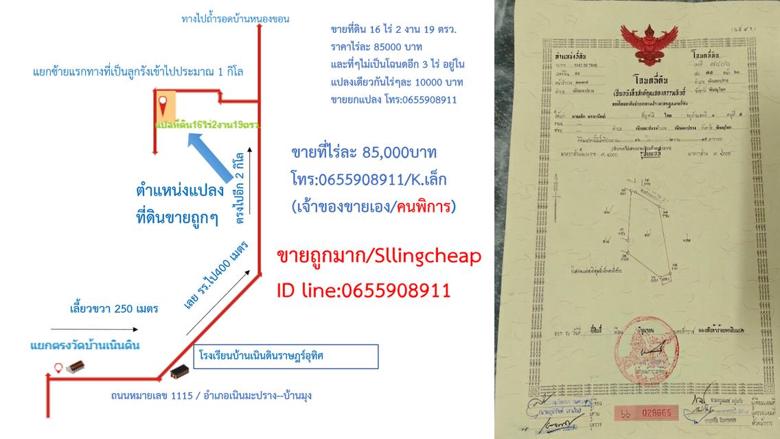 ขายที่ 16 ไร่ 2 งาน 19 ตรว. 3