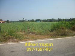 ฮวงจุ้ยดี ทำเลเยี่ยม ที่สวย ราคาถูก ติดทาง 3 ด้าน ติดคลองชลประทานใหญ่ ที่ดินสูง