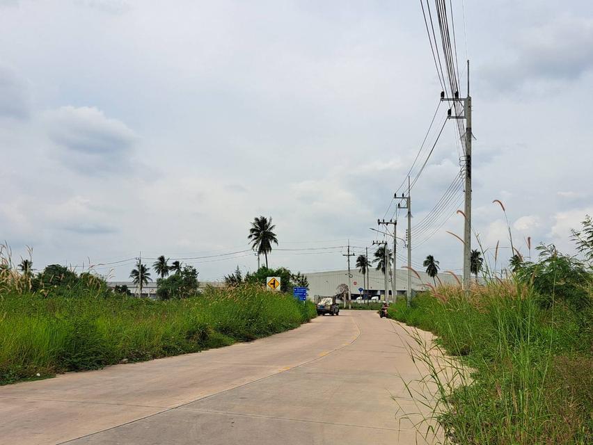 ขายที่ดินบ่อวิน 2 ไร่ ใกล้โรงพยาบาลปิยะเวชช์บ่อวิน ศรีราชา ชลบุรี 2