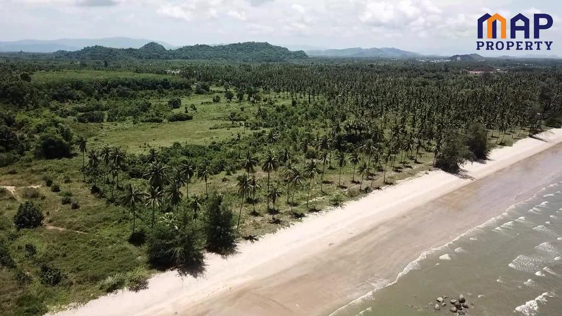 โอกาสทองสำหรับนักลงทุน ที่ดินแปลงใหญ่ 65 ไร่ติดทะเลบางสะพาน 3