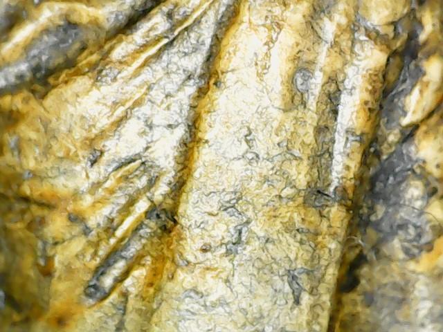 พระสมเด็จรูปเหมือนหลวงพ่อเดิม เนื้อผงน้ำมัน ปี2482 แท้และทันยุค รูปที่ 3