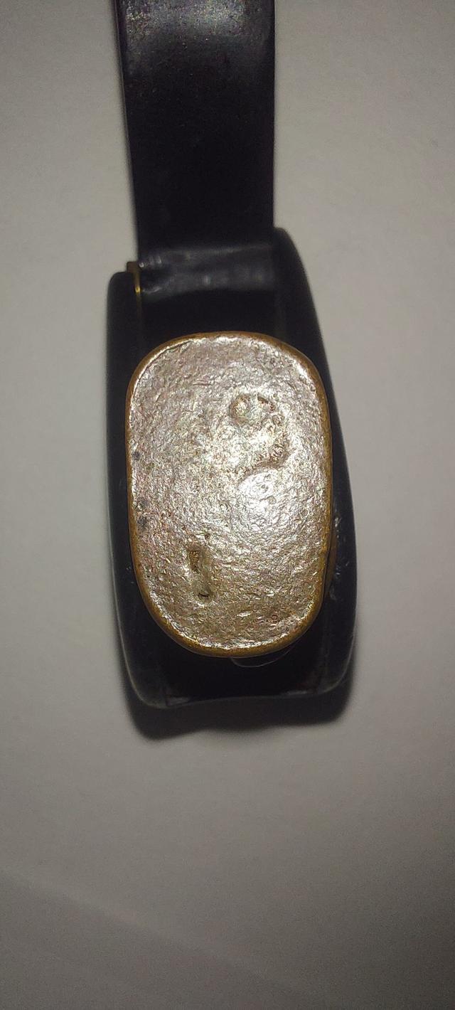 เสือมิ่งมงคล หลวงปู่คำบุ รูปที่ 5