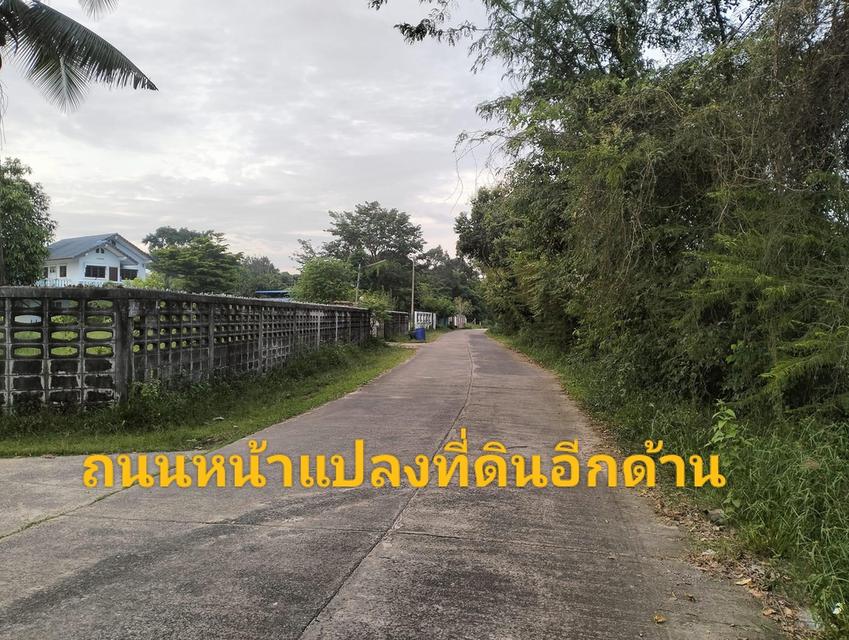 ที่ดิน อ.เมือง จ.อุบลราชธานี 8
