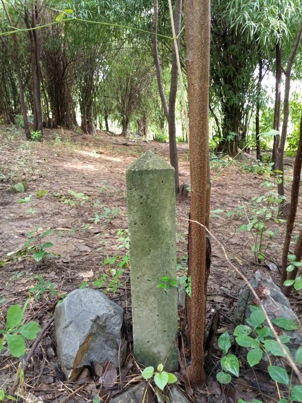 ขายด่วน! ที่ดินเปล่า ทำเลดี ใกล้เมืองนครสวรรค์ เนื้อที่ 160 ตร.ว. โทร 092-6869618 5