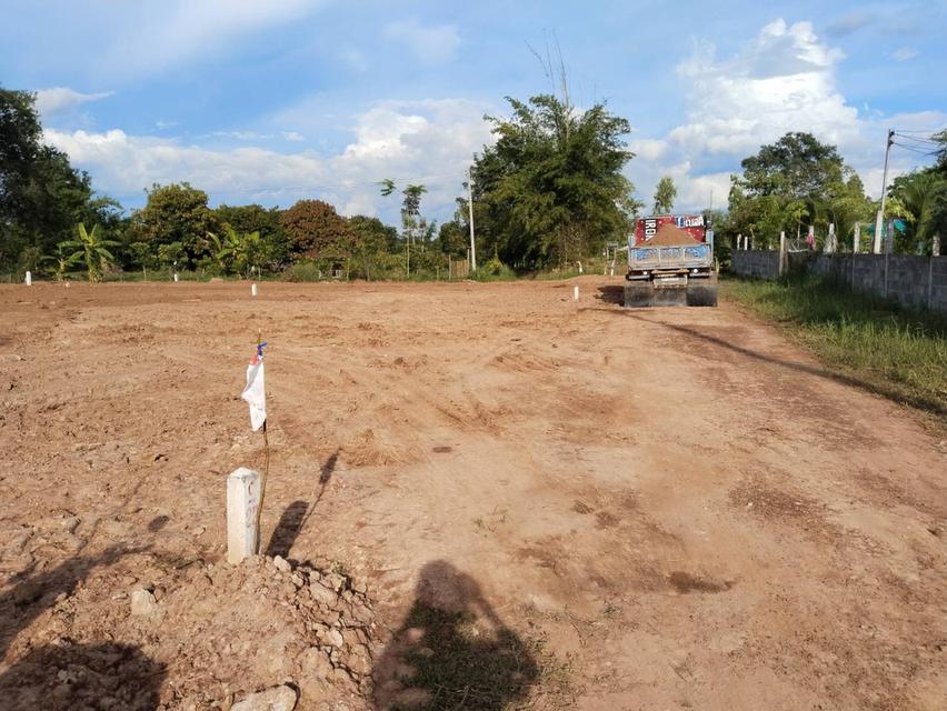 ที่ดินแบ่งขาย ใกล้ตัวเมืองกาฬสินธุ์ เหมาะสร้างบ้านอยู่อาศัย 9