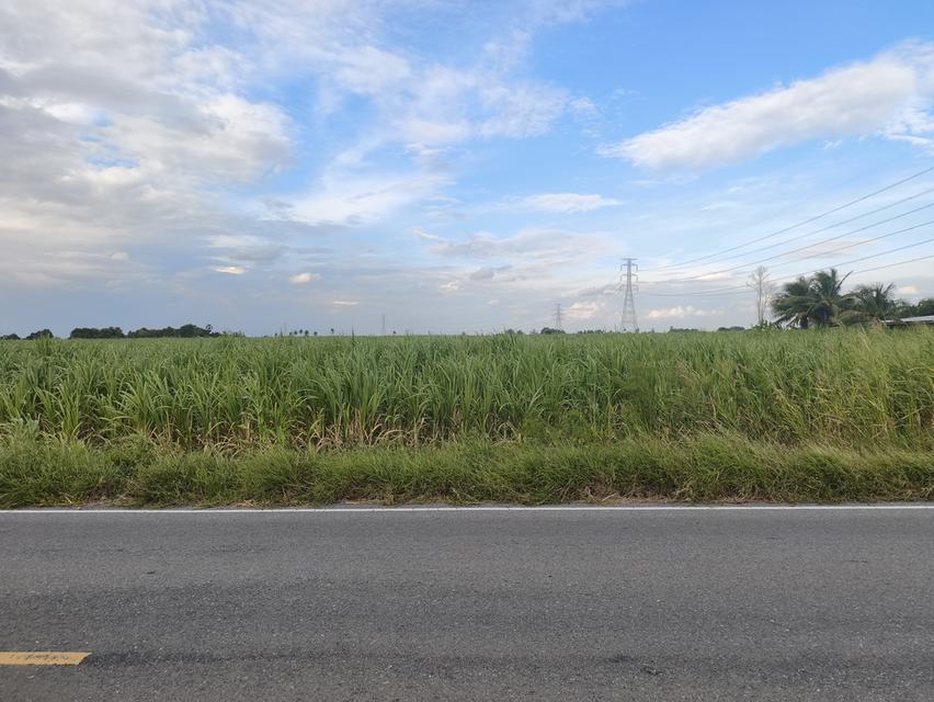 ขายที่ดิน 1 ไร่ อ.พัฒนานิคม จ.ลพบุรี(เจ้าของขายเอง) 3