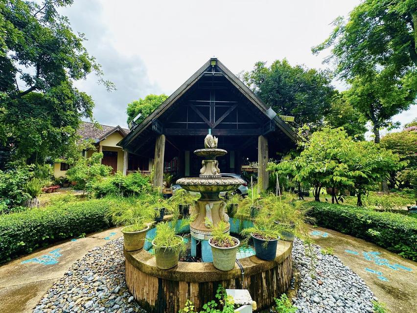 ขายรีสอร์ท & บ้านหลังใหญ่ เขาใหญ่ ปากช่อง 6