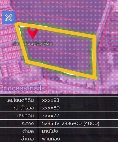 ขายที่ดินอมตะนครเฟส10 #พานทองชลบุรี บนเนื้อที่ 14 ไร่ และ 6 ไร่ ผังม่วงลาย 1