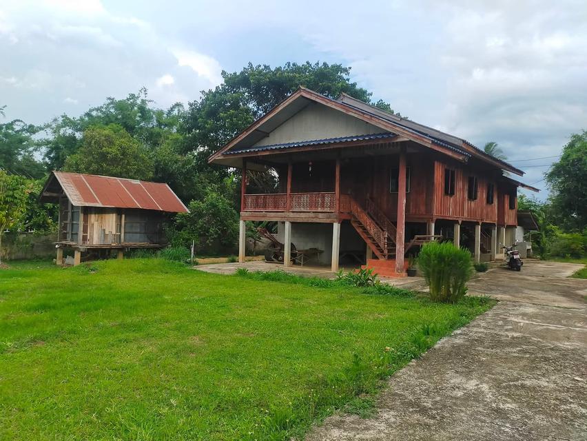 ขายบ้านพร้อมที่ดิน วิวสวย บรรยากาศดี 🌿 🏡 บ้าน 2 ชั้น บนไม้ ล่างปูน 📐 เนื้อที่ 1 ไร่ 1 งาน 💰 ราคา 3.49 ล้านบาท (ต่อรองได้) 📍 บ้านเหมืองลึก ต.โป่งแ 1