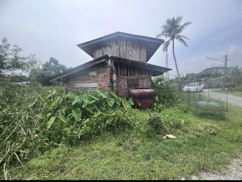 บ้านเดี่ยวพร้อมที่ดิน 13