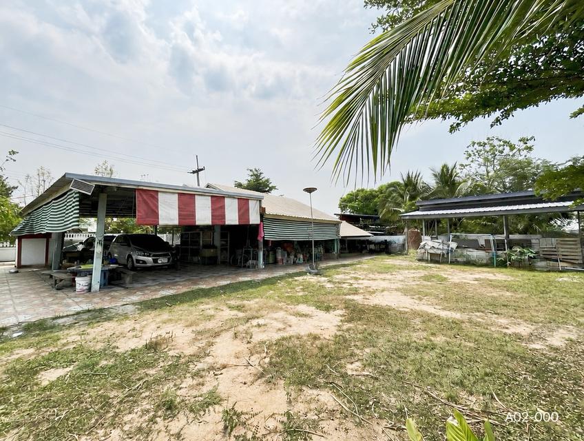 บ้านมือสองอุดรธานี บ้านข้าวสาร ต.โนนสูง เมืองอุดร(อุดร-ขอนแก่น) 13