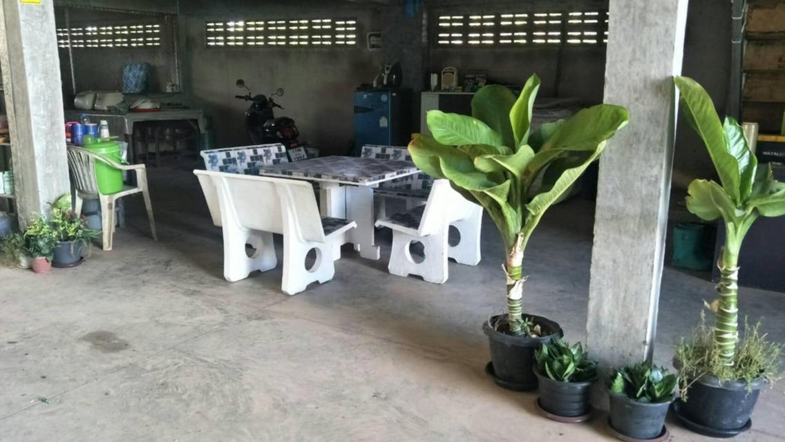 ที่ดินพร้อมกิจการ โรงงาน รับซื้อขยะพลาสติก ผลิตเม็ดพลาสติก จ.พะเยา 10