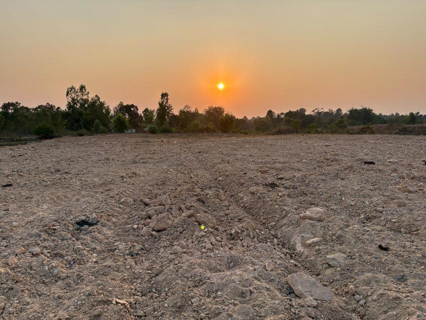 ขายที่ดินจังหวัดอุบลราชธานี 7