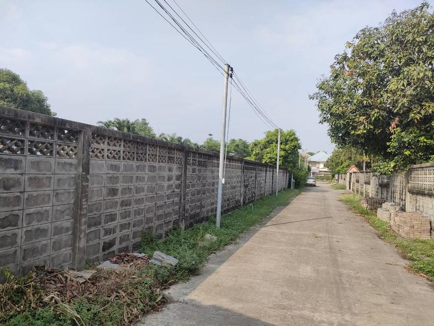 ให้เช่าที่ดินเปล่าถมแล้วในถนนมัยลาภ กรุงเทพมหานคร 14