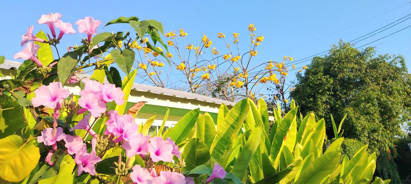 บ้านพร้อมที่ดิน215ตรว​ 3.8ล้าน 6