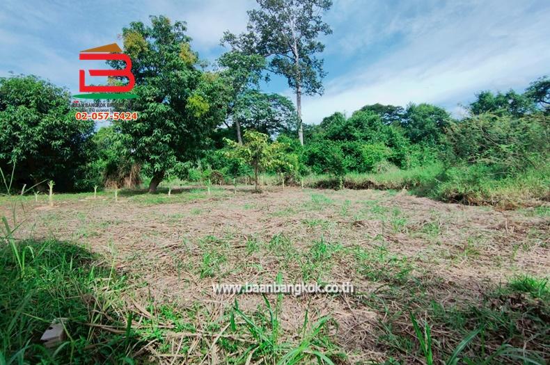 ที่ดินเปล่า เนื้อที่ 1-1-0 ไร่ ใกล้วัดกำแพงแก้ว ถ.สาย อย.4016 ต.มหาพราหมณ์ อ.บางบาล จ.อยุธยา 4